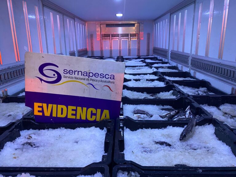 Incautan más de 4 toneladas de recursos en fiscalización previa a Semana Santa