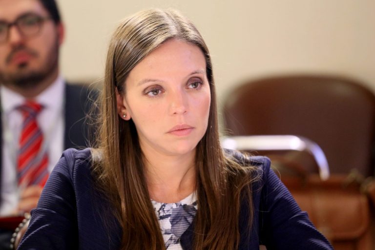 Las 4 claves para entender la investigación de fraude al fisco en contra de la senadora Camila Flores