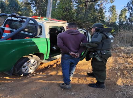 Valparaíso: Carabineros detiene a 3 ladrones de madera en fundo de Placilla