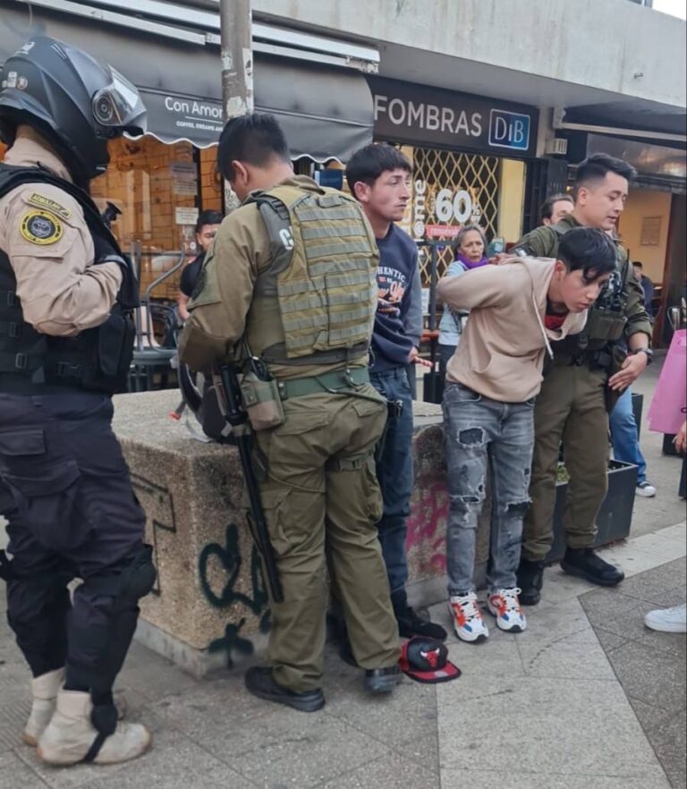 Balance en Viña del Mar: 155 detenidos y más de 7 mil especies retiradas del comercio ilegal