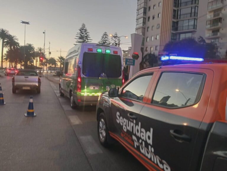 Operativo por fin de semana largo en Viña del Mar deja millonario decomiso y más de una decena de detenidos